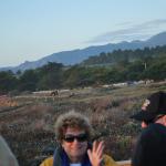 Cambria_0219 (November 05, 2011)